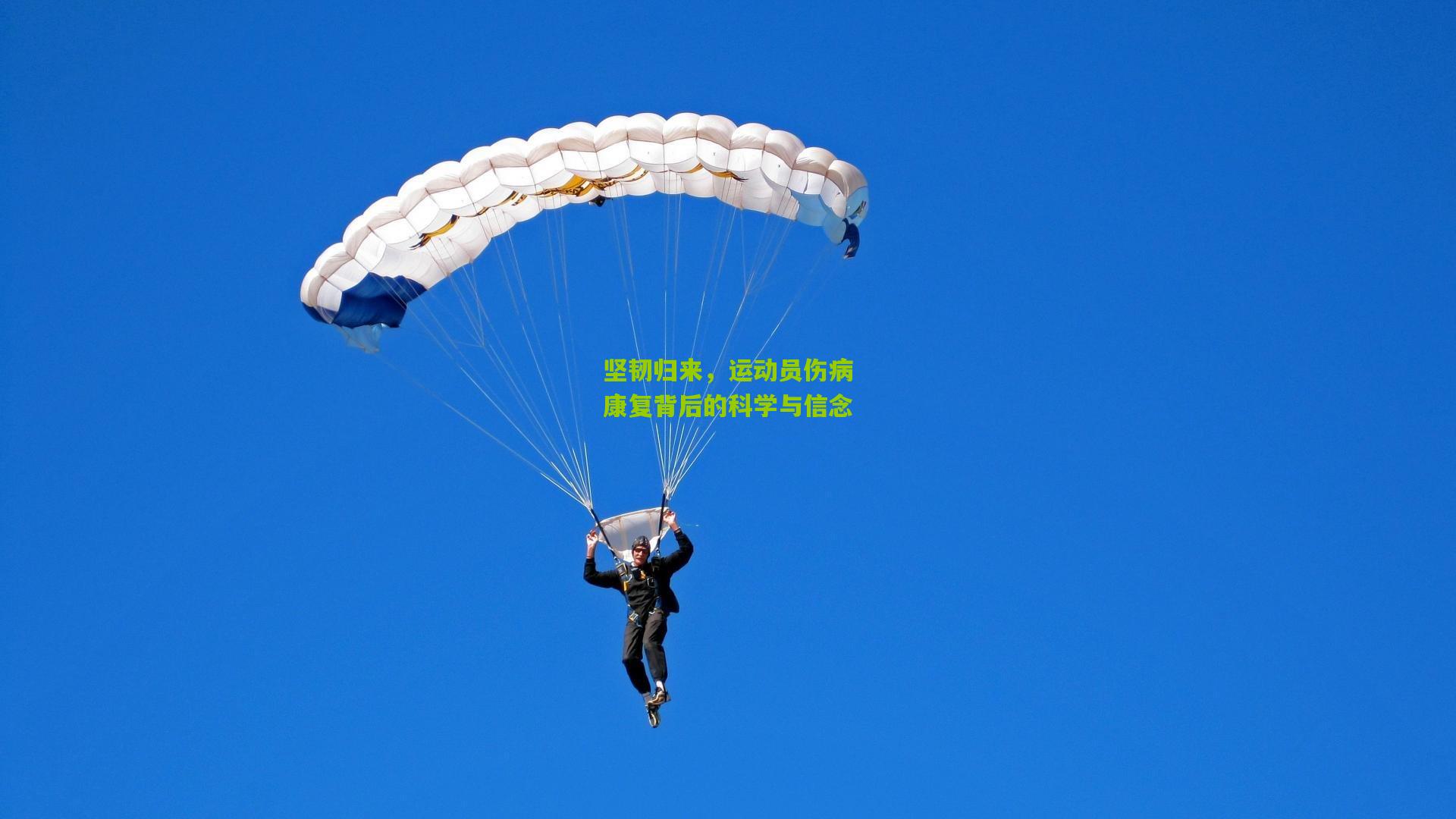 坚韧归来,运动员伤病康复背后的科学与信念